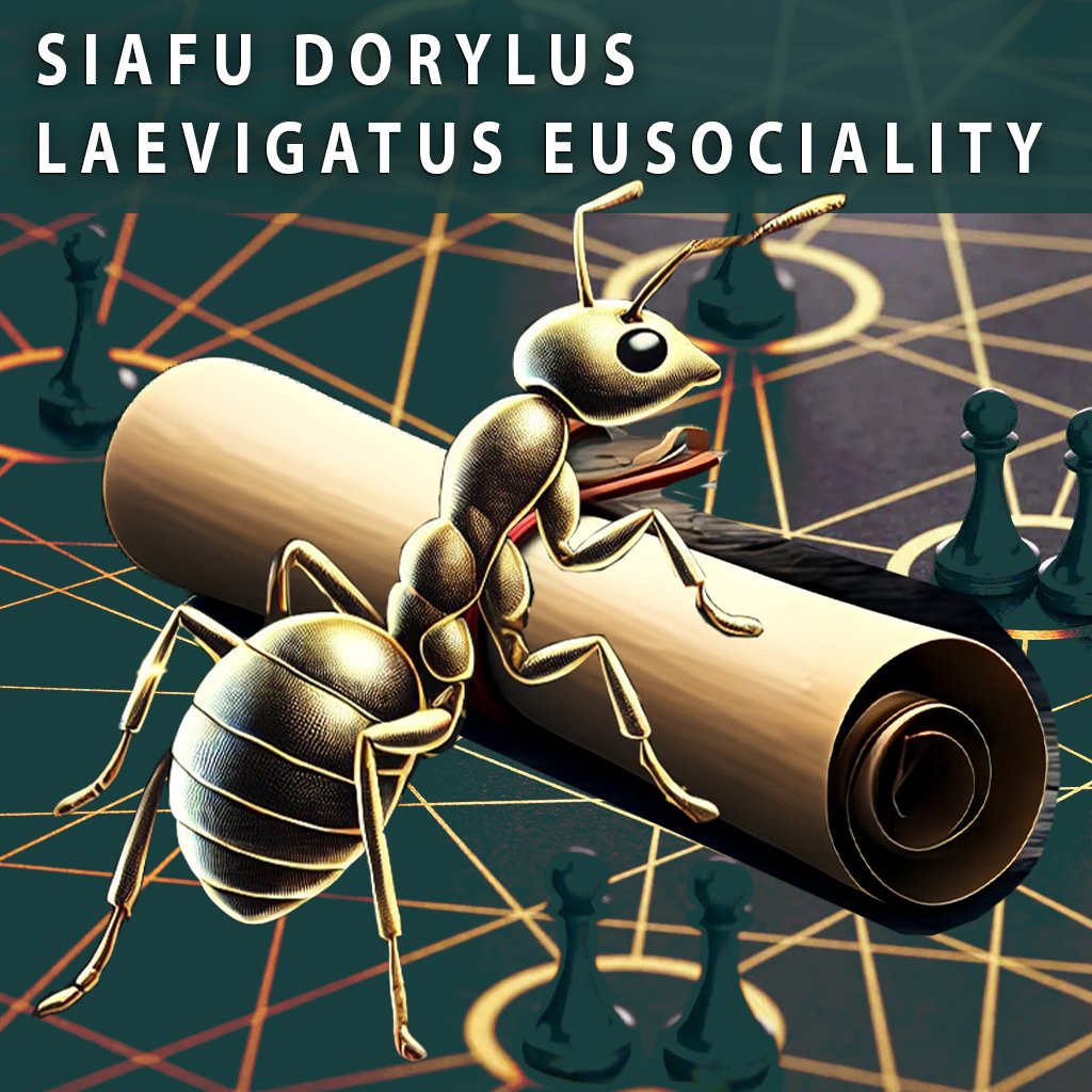Siafu-Dorylus-Group-SDLE-DIV-BOX-LOGO_000